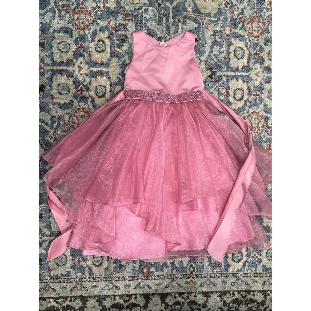 Chic Baby America Special Occasion Formal Dress Girls 6 Pink Tulle Glitter EUC